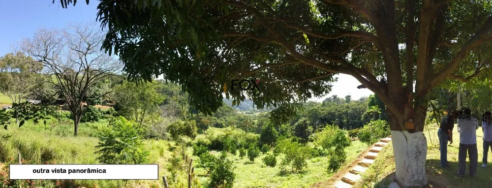 Sítio, 5 quartos, 1000 m² - Foto 10