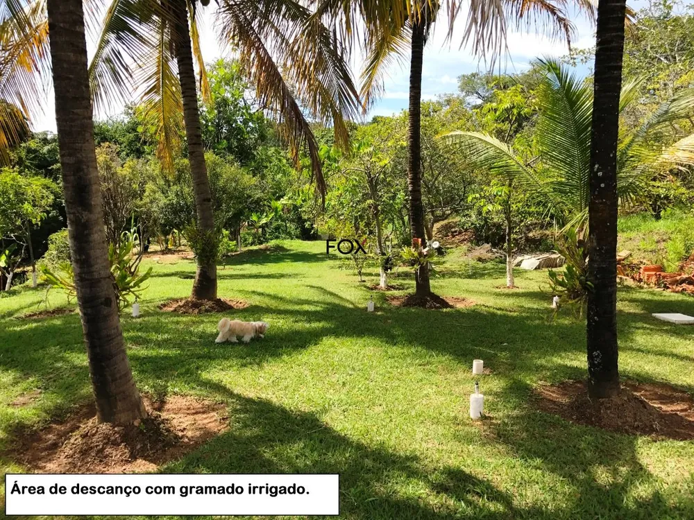 Sítio, 5 quartos, 1000 m² - Foto 5
