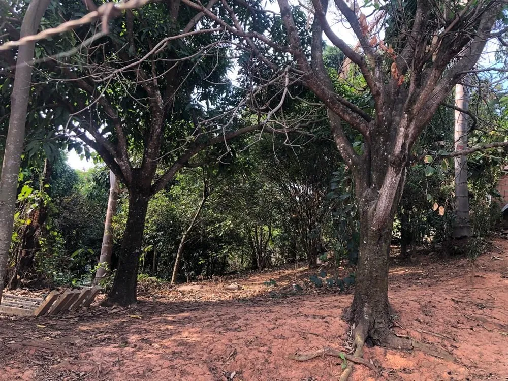 Terreno - Foto 1