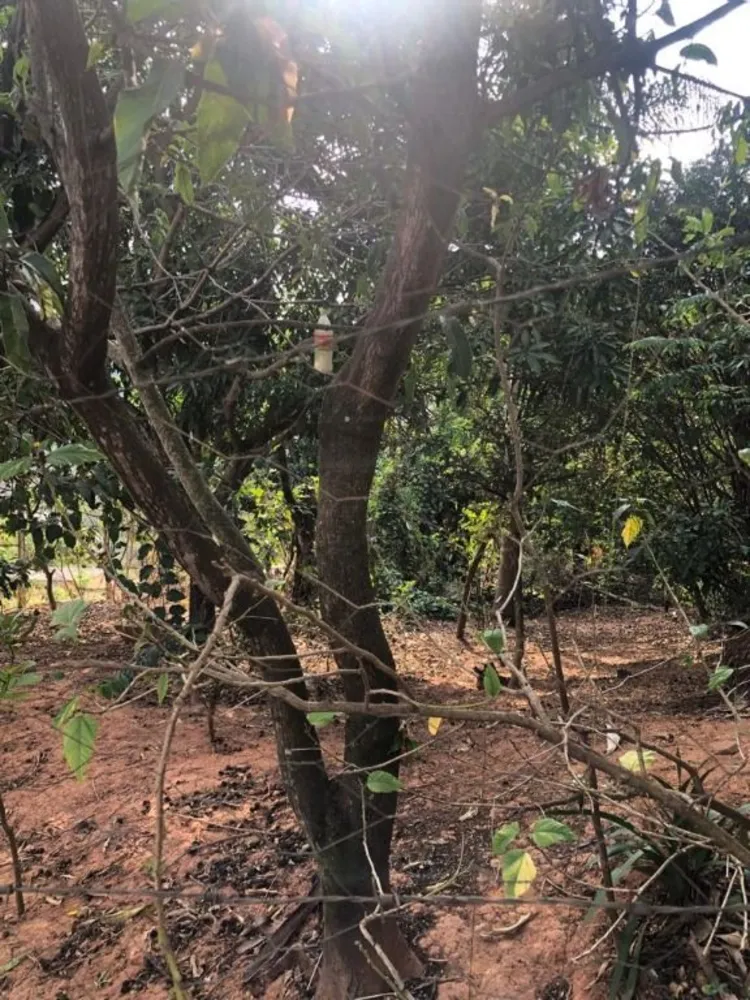Terreno - Foto 2