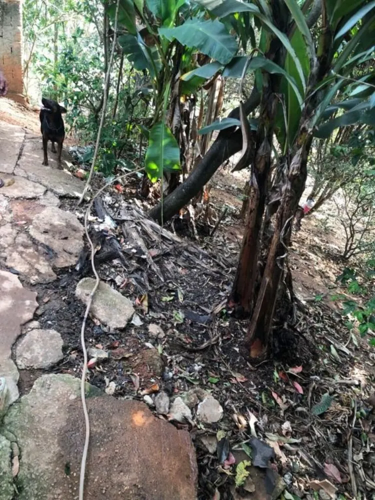 Terreno - Foto 11