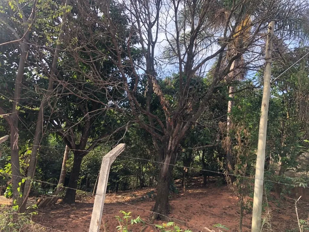 Terreno - Foto 3