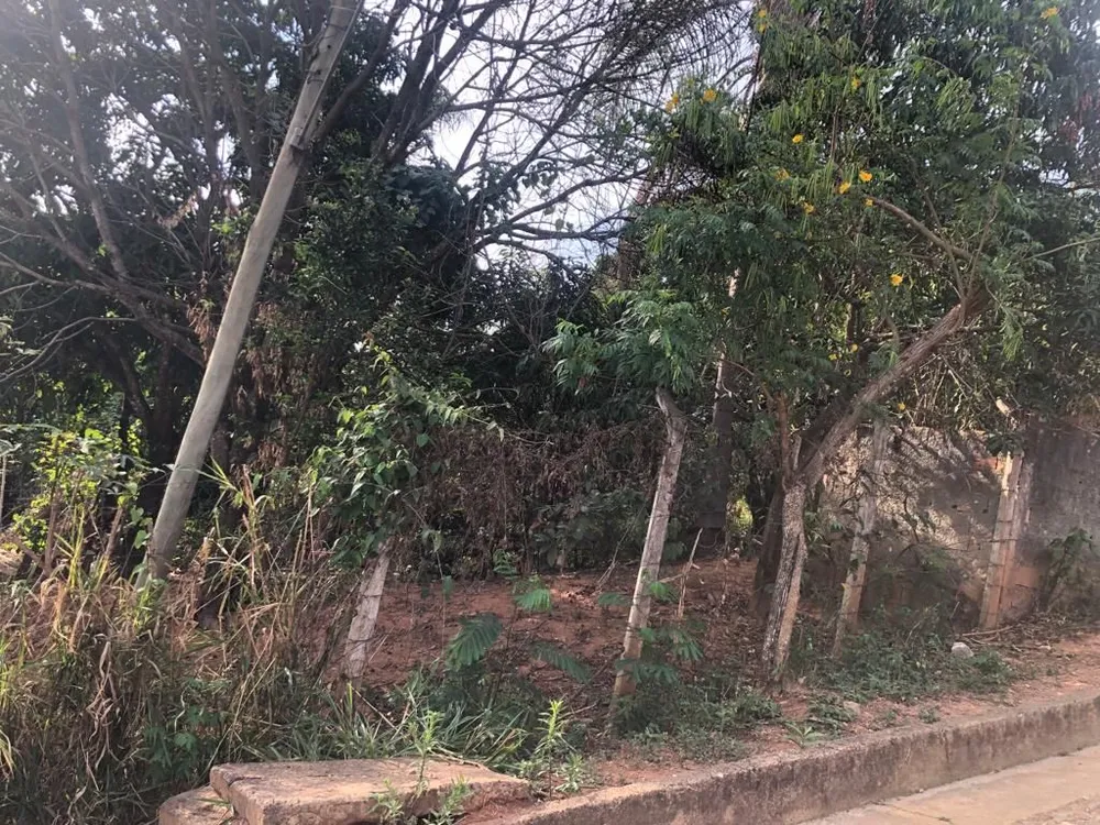 Terreno - Foto 1