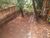Casa, 4 quartos, 830 m² - Foto 11