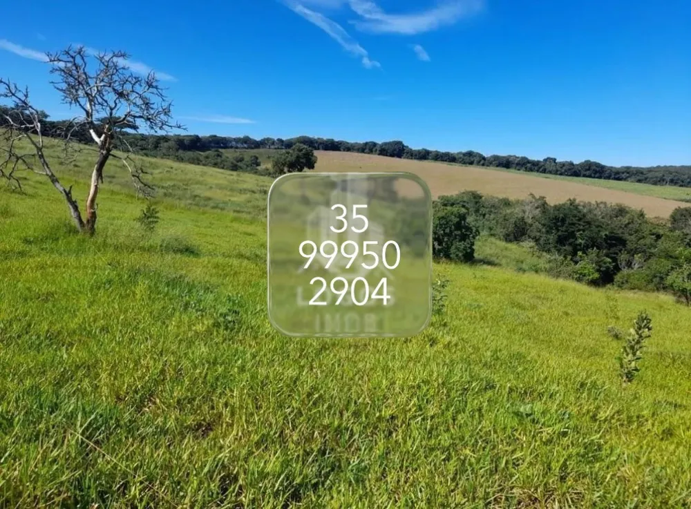 Fazenda, 100 hectares - Foto 7