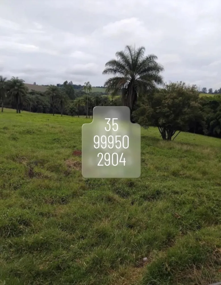Fazenda, 100 hectares - Foto 6