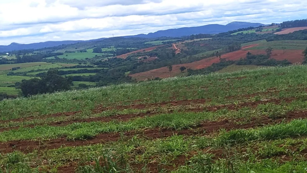 Fazenda, 100 hectares - Foto 8