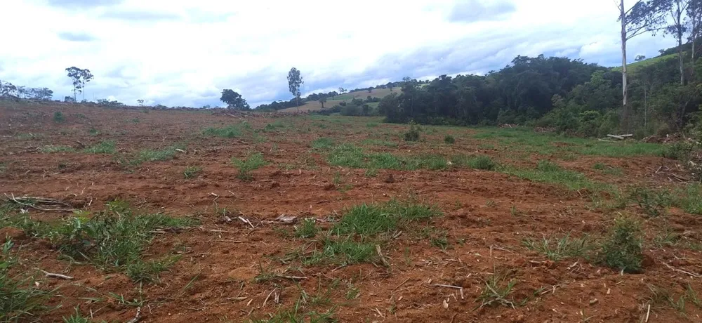 Fazenda, 100 hectares - Foto 3