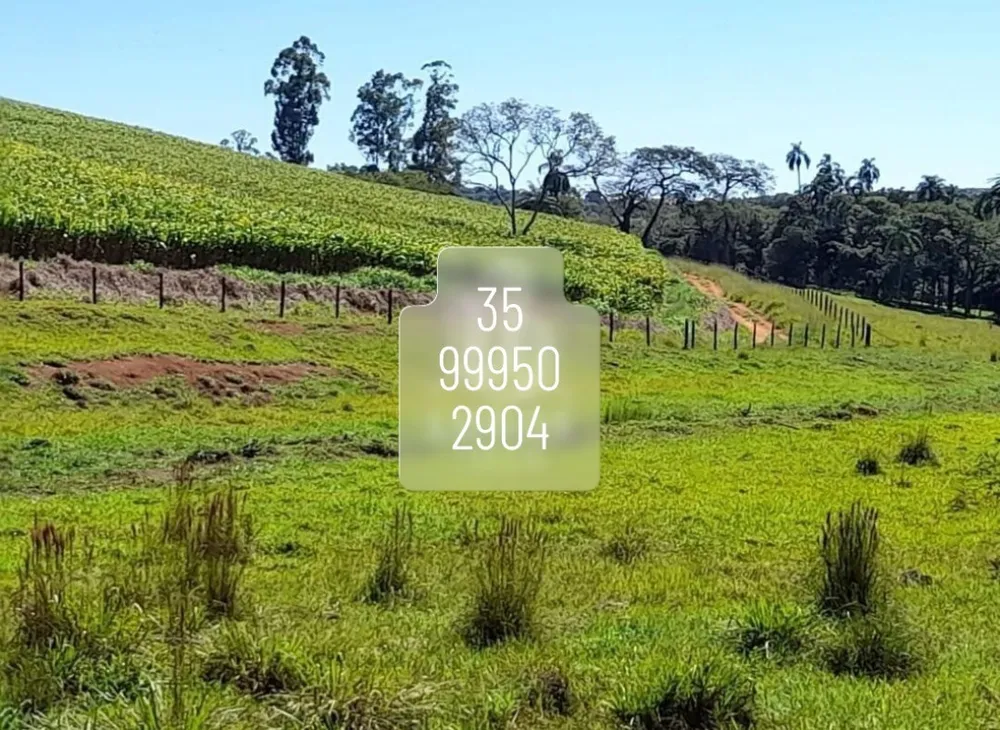 Fazenda, 100 hectares - Foto 2