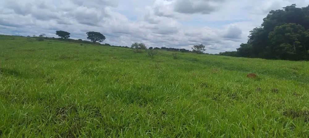 Fazenda, 100 hectares - Foto 4