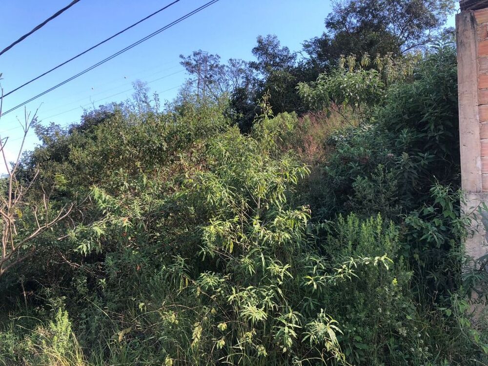 Terreno à venda, 374m² - Foto 4