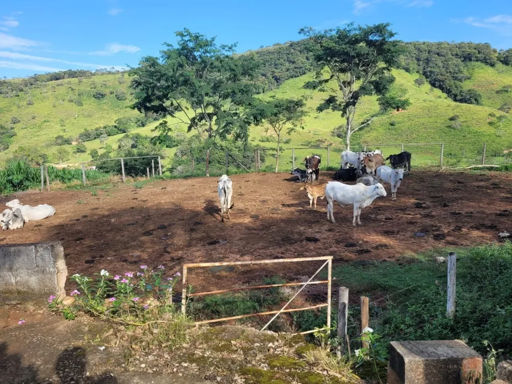 Fazenda, 3 quartos - Foto 2