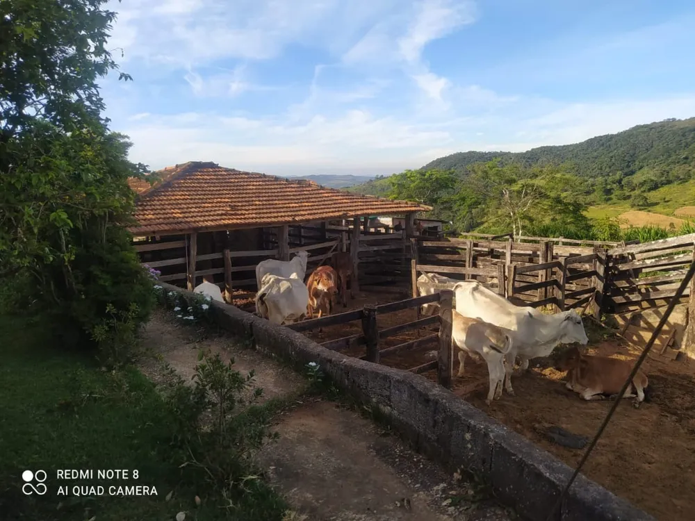 Fazenda, 3 quartos - Foto 8