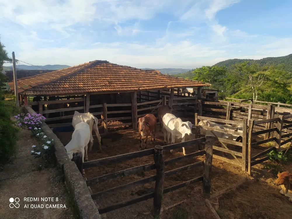 Fazenda, 3 quartos - Foto 5