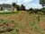 Terreno, 250 m² - Foto 4