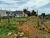 Terreno, 250 m² - Foto 2