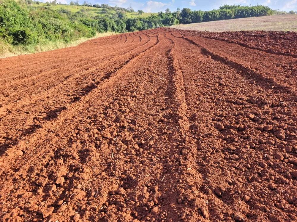 Fazenda, 130 hectares - Foto 4