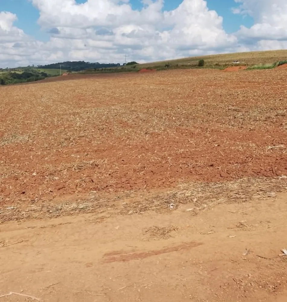 Fazenda, 130 hectares - Foto 8