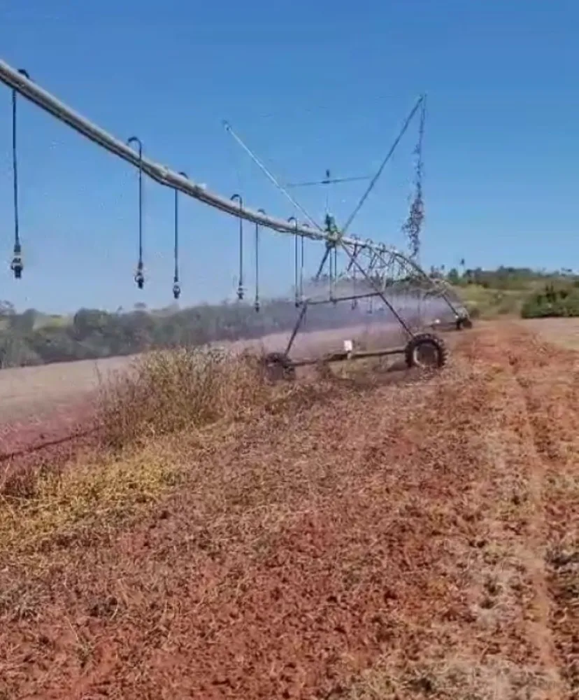 Fazenda, 130 hectares - Foto 2