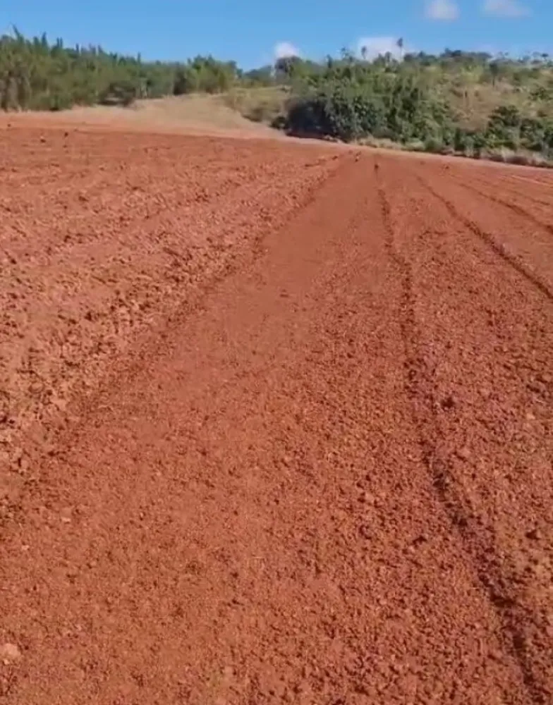 Fazenda, 130 hectares - Foto 6