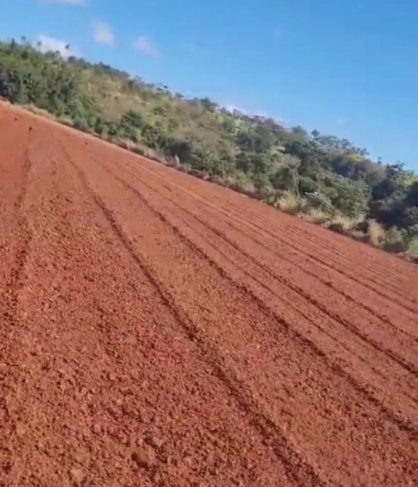 Fazenda, 130 hectares - Foto 7