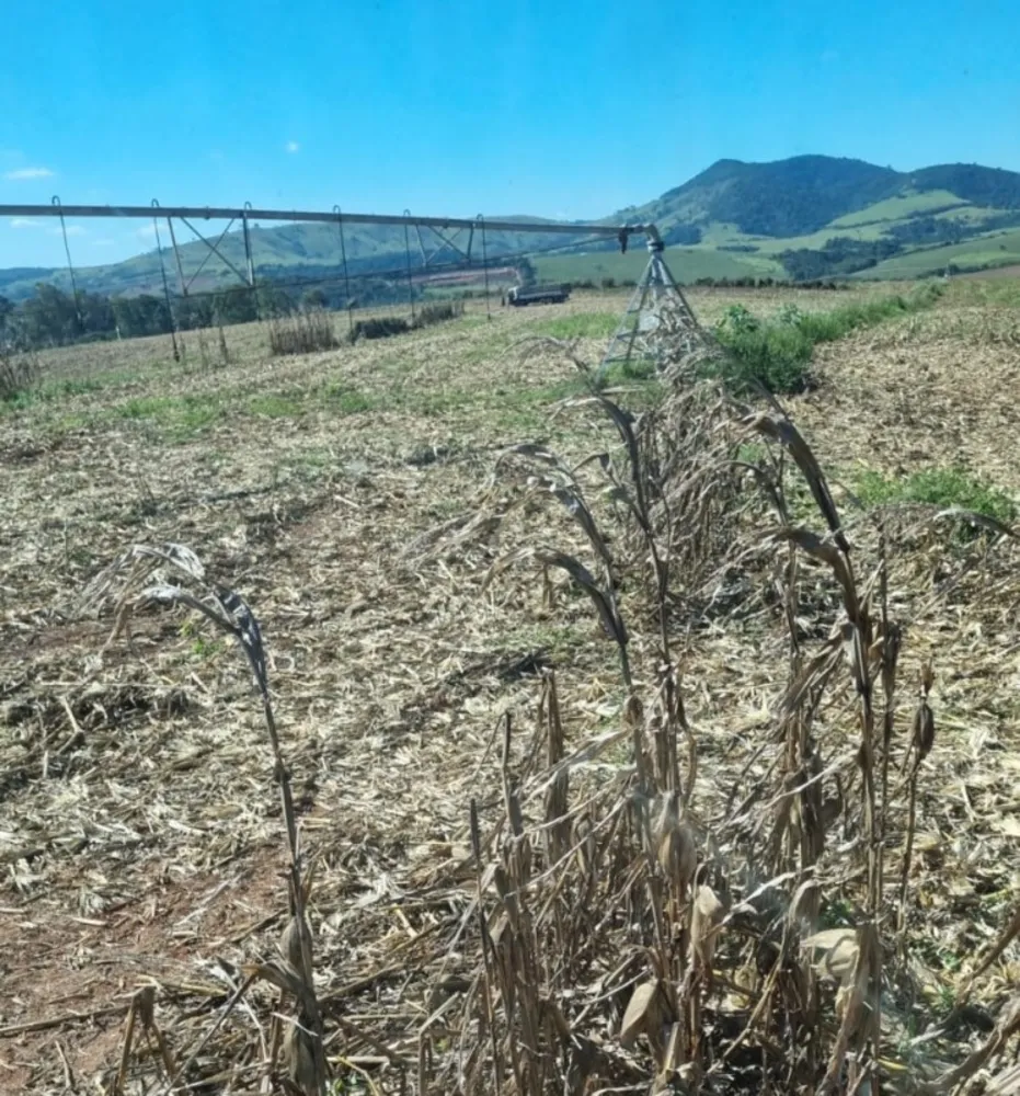 Fazenda, 130 hectares - Foto 12