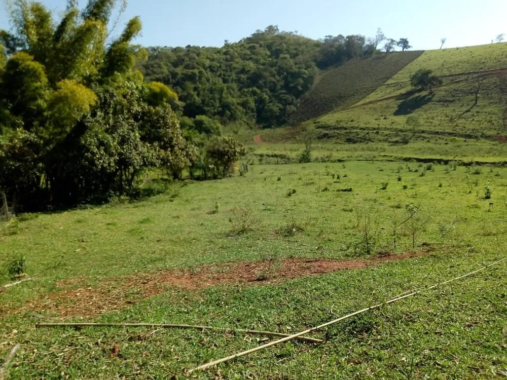 Chácara, 1 quarto, 53 hectares - Foto 2