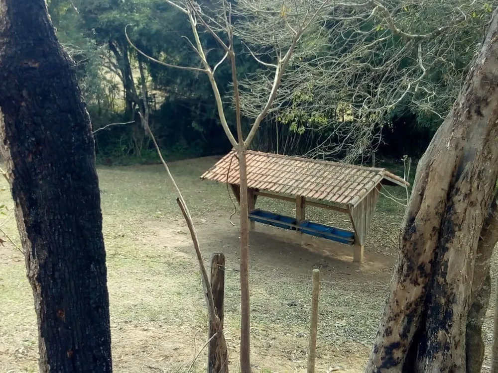 Fazenda, 53 hectares - Foto 11