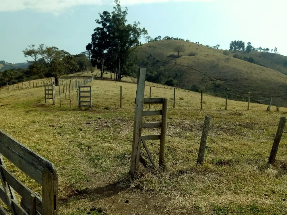 Fazenda, 53 hectares - Foto 10
