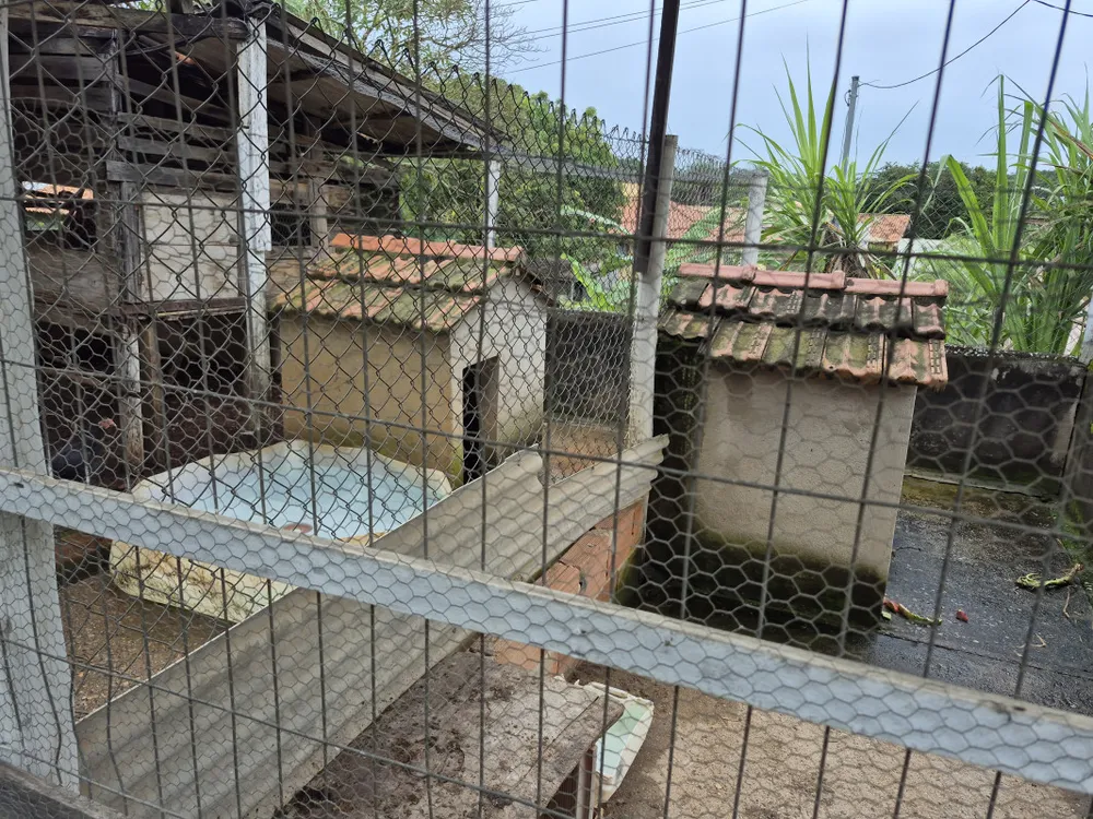 Chácara, 4 quartos, 2200 m² - Foto 4