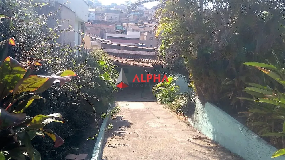Casa, 4 quartos, 360 m² - Foto 4