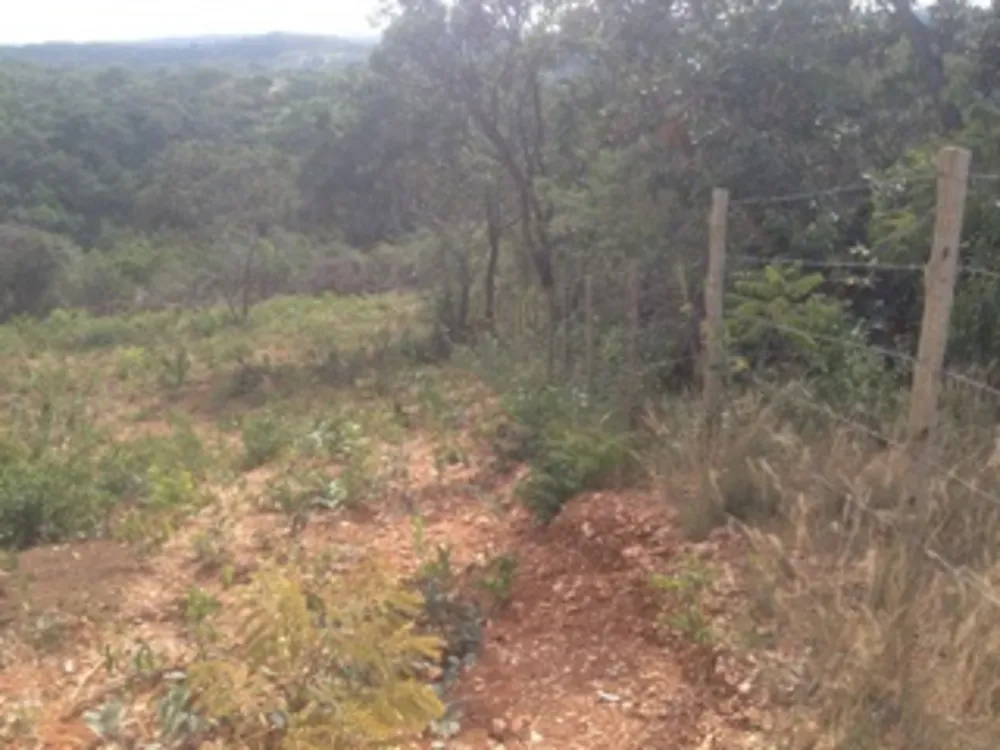 Terreno, 23200 m² - Foto 4