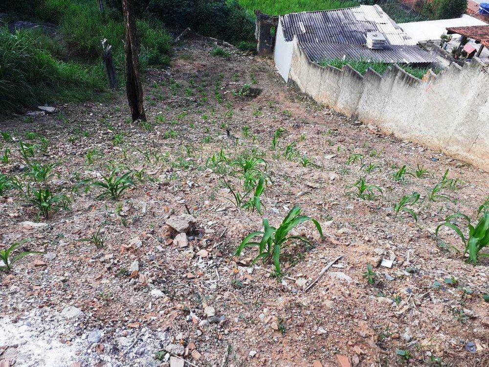 Terreno à venda, 373m² - Foto 4