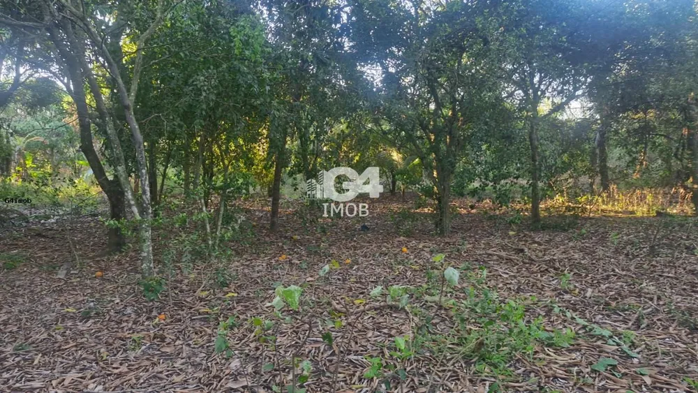 Terreno, 3930 m² - Foto 7