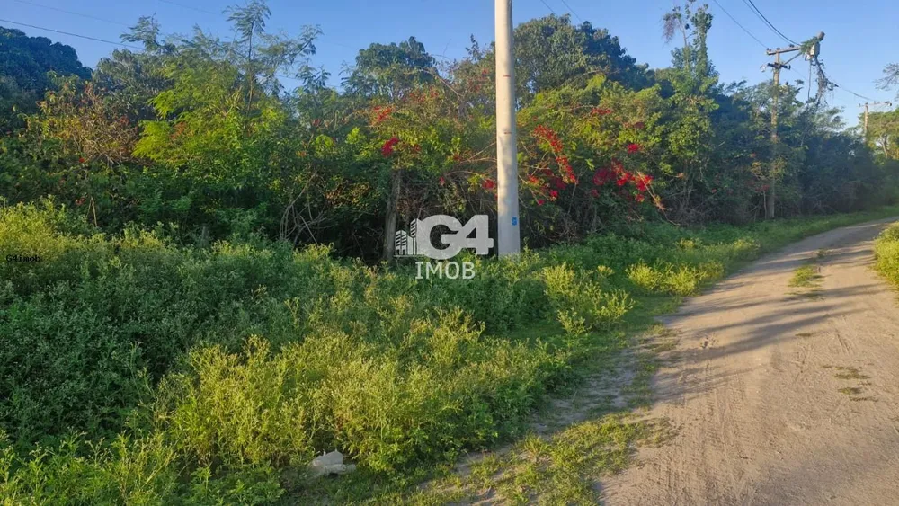 Terreno, 3930 m² - Foto 5