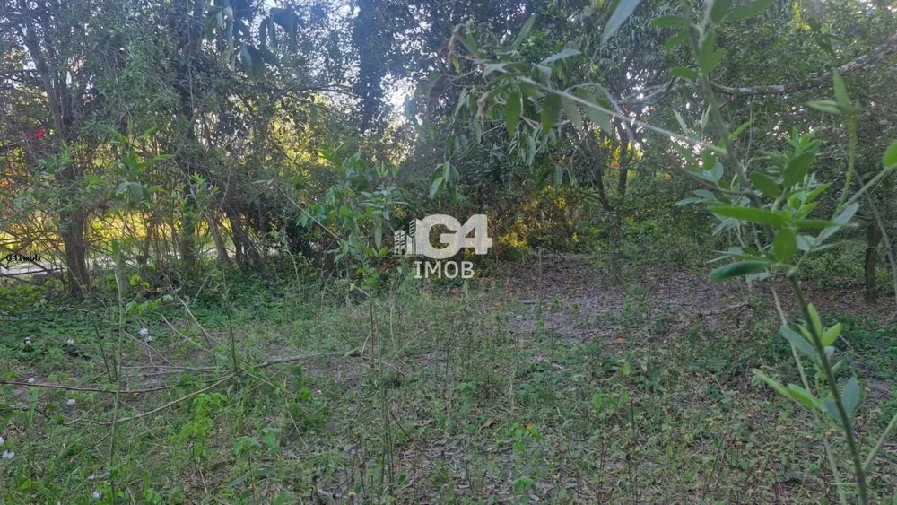 Terreno, 3930 m² - Foto 8