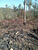 Terreno, 300 m² - Foto 4
