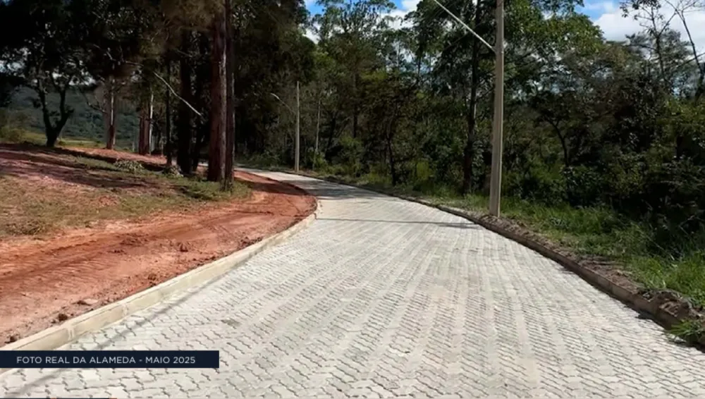 Terreno, 625 m² - Foto 8