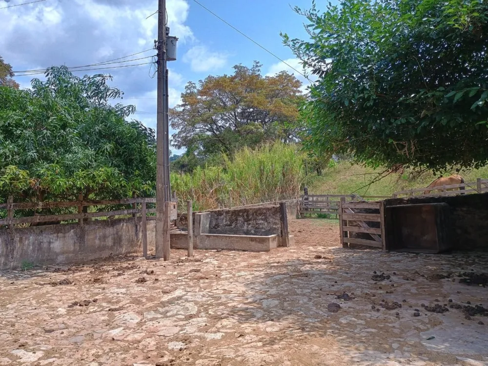 Chácara, 3 quartos - Foto 4