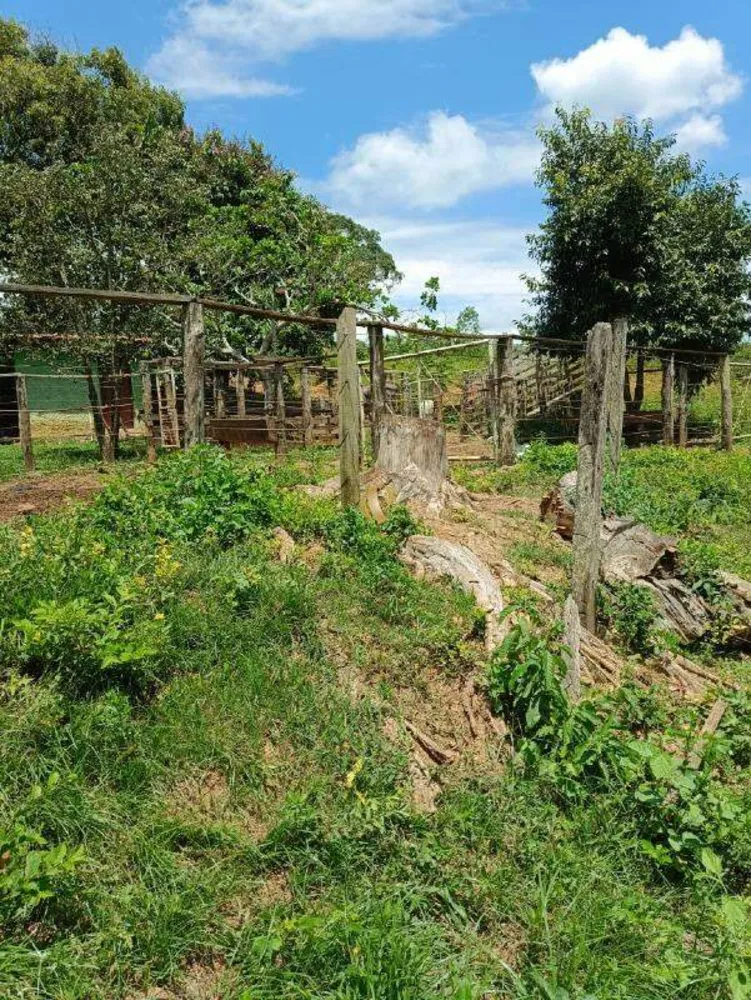 Chácara, 2 quartos, 15 hectares - Foto 6
