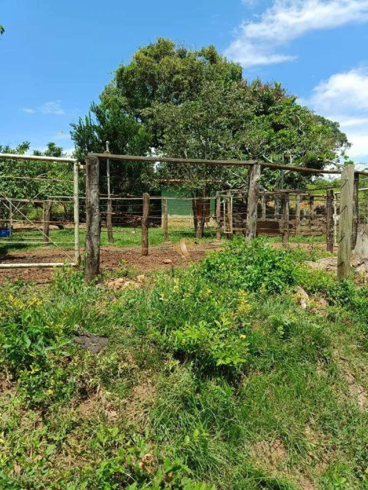 Chácara, 2 quartos, 15 hectares - Foto 2