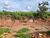 Terreno, 220 m² - Foto 2