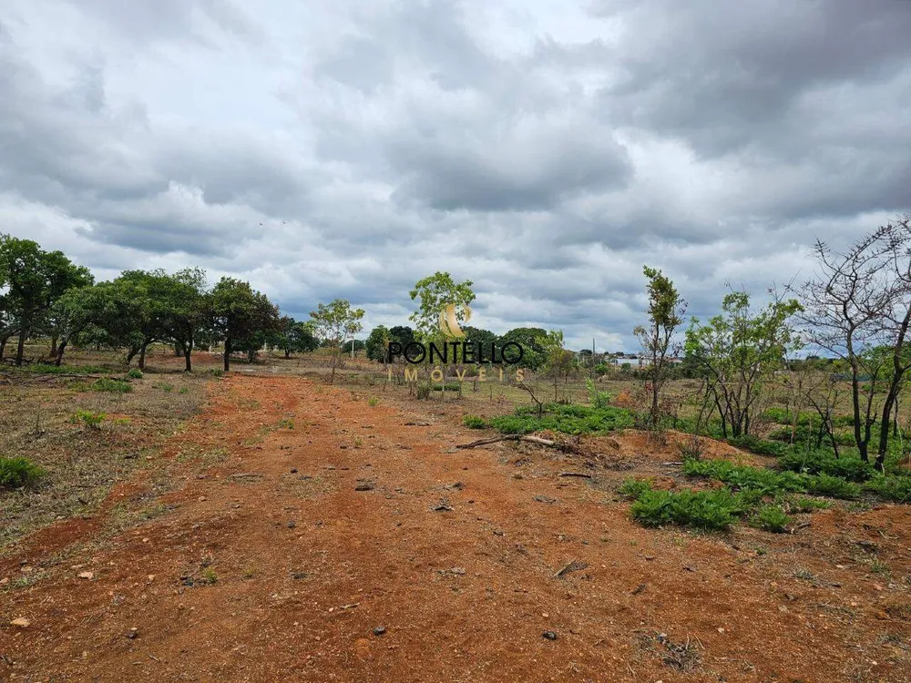 Terreno, 15 hectares - Foto 4
