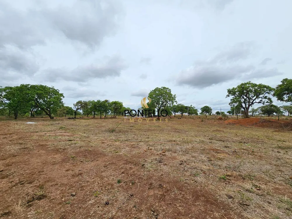 Terreno, 15 hectares - Foto 9