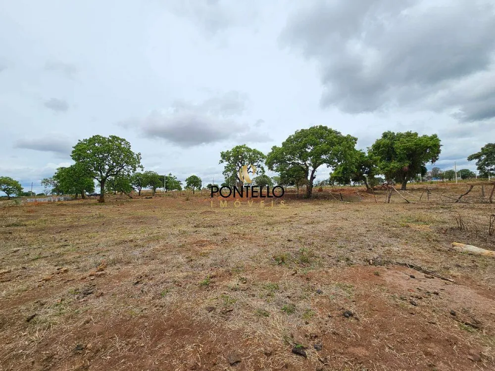 Terreno, 15 hectares - Foto 8