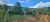 Fazenda, 109 hectares - Foto 2