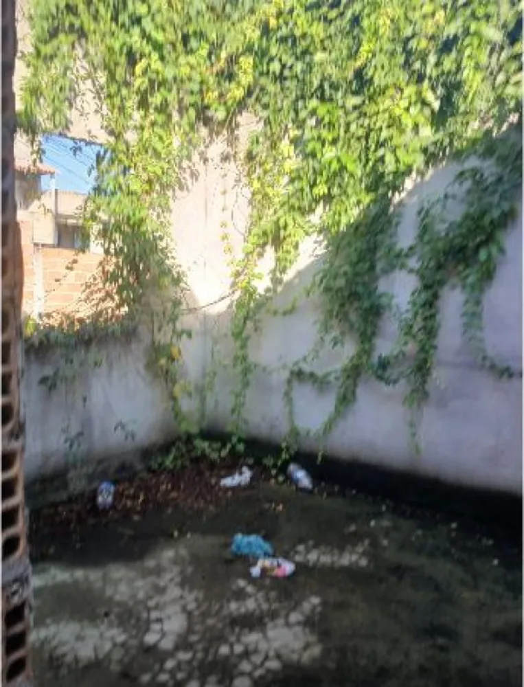 Casa, 3 quartos, 200 m² - Foto 18