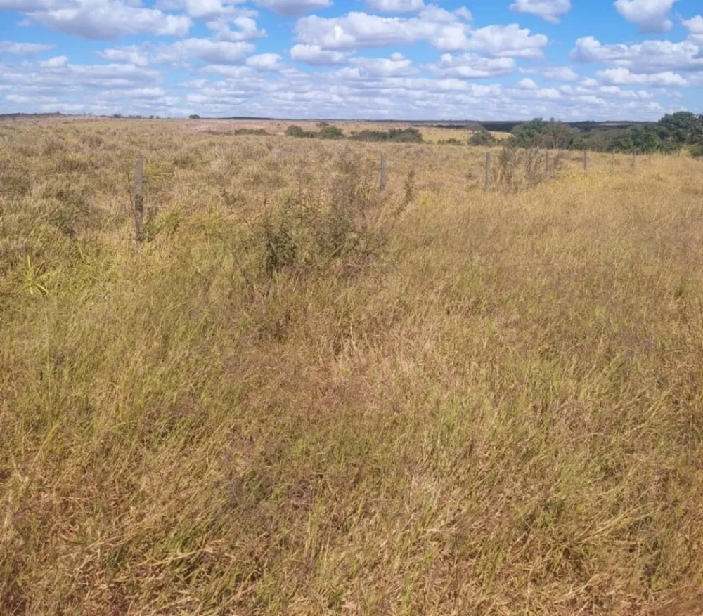 Fazenda, 654 hectares - Foto 17