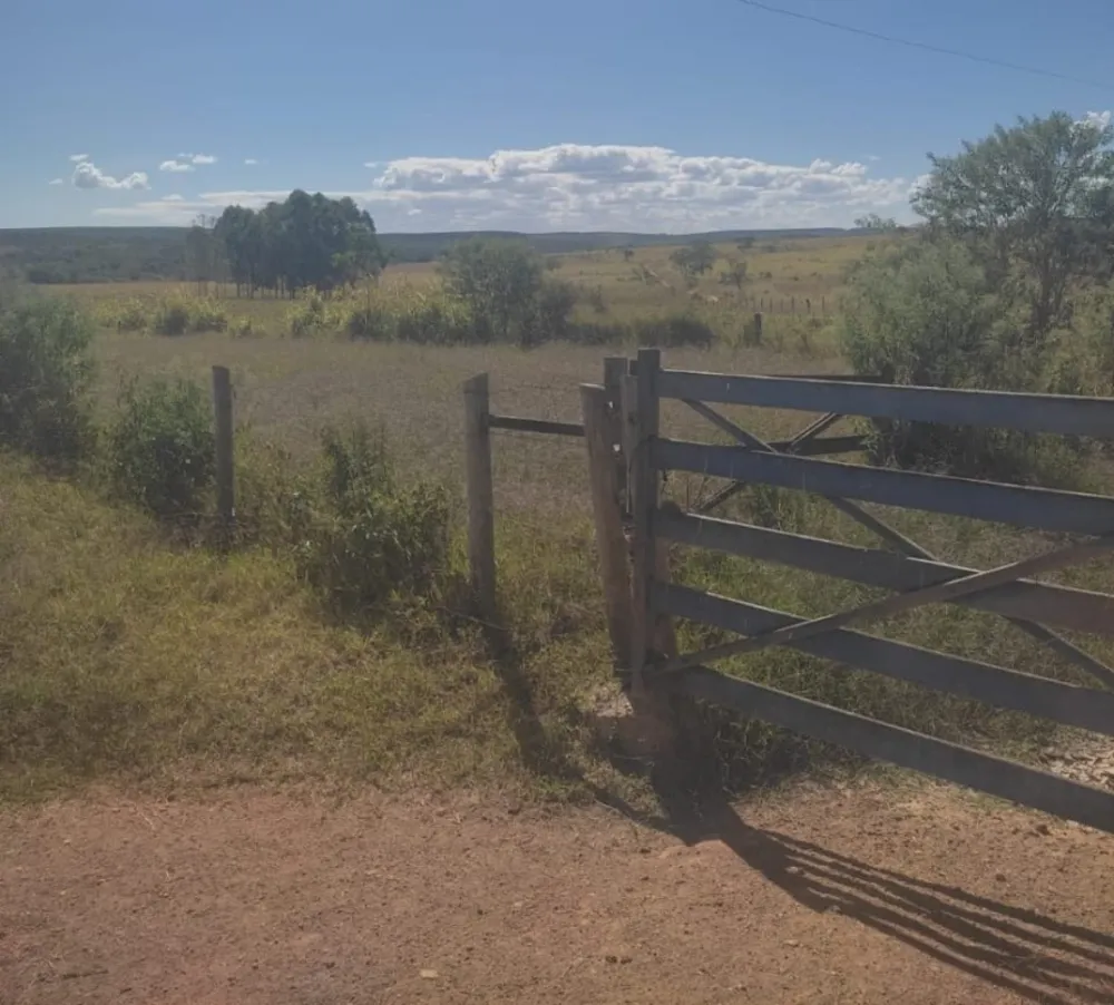 Fazenda, 654 hectares - Foto 10