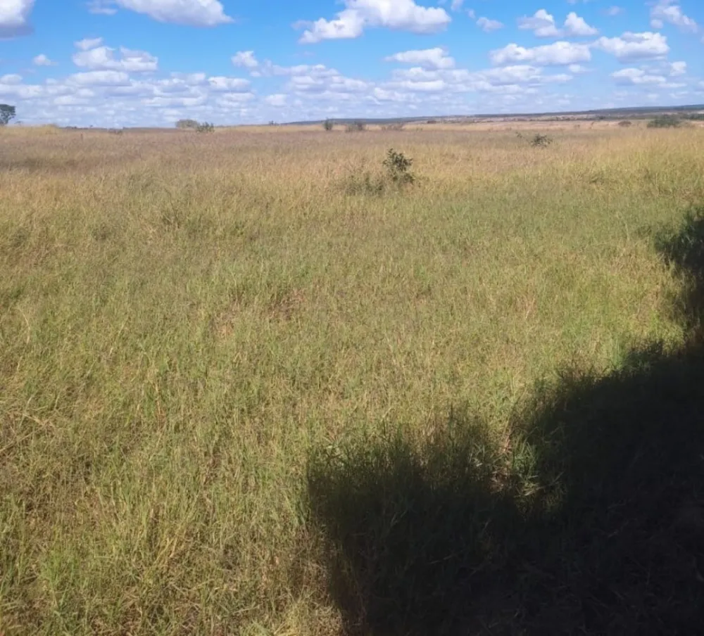 Fazenda, 654 hectares - Foto 4